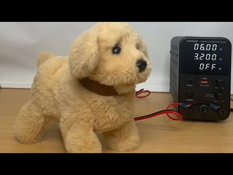 Toys under highvoltage - Back Flipping Dog #highvoltage #toy #voltage #puppy  #flip #dog #backflip