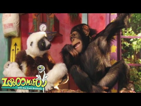 Smart Animal Brain Power & Secret Inventions! | Zoboomafoo - WildBrain | Full Episodes