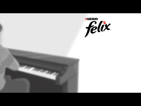 It's Great To Be A Cat - Piano