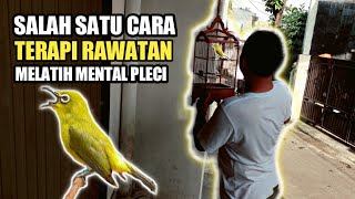 Download lagu NATURAL TREATMENT METHODS FOR TRAINING THE MENTAL PLECI mp3