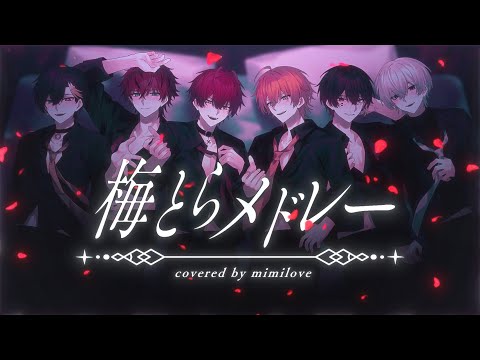 梅とらメドレー／歌ってみた【ミミラブ/STPR】