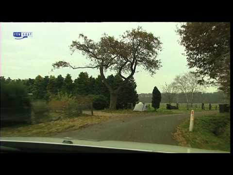 The Co-driver - Lonneker (1)