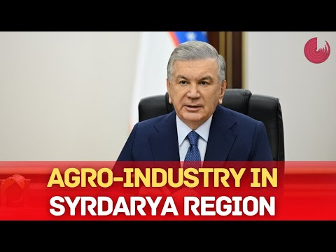 AGRO-INDUSTRY OPPORTUNITIES UNVEILED IN SYRDARYA REGION
