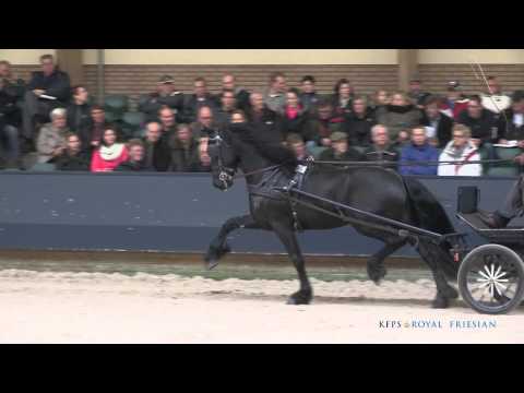 Hessel 480 &#8211; Norbert x Jelke