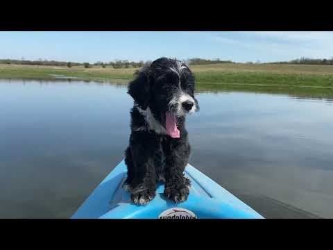 Sadie May First Day Kayaking