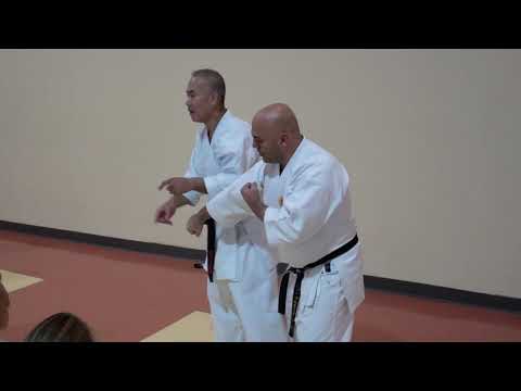Taira Sensei Showing Gedan Uke with Jean Frenette Sensei