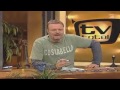 2004 Wywiad Z D12 W Niemieckim TV Total PL Napisy