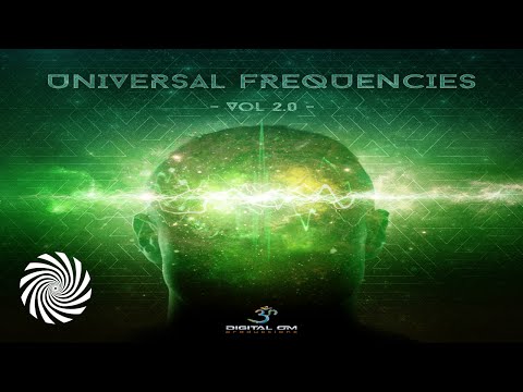 Kali & Lifeforms - Crash & Burn