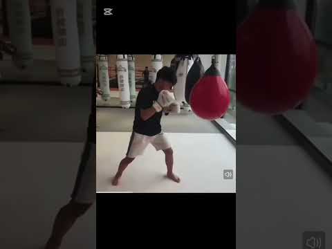 ~子甄彣璟~戰牌 拳擊 水沙袋 26*37cm 注水沙袋 水沙包 水袋 水球 搏擊格鬥 泰拳散打 跆拳道 健身運動