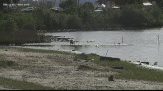 Woman found dead in Oyster Creek in St. Augustine