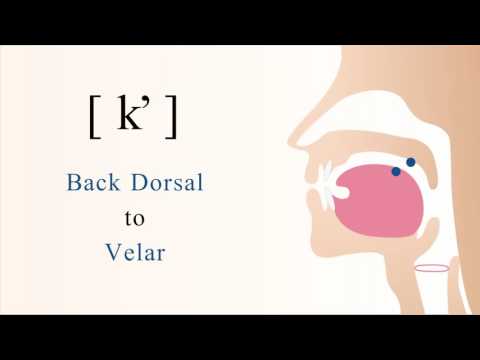 [ kʼ ] unvoiced back dorsal velar ejective stop
