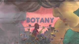 Botany - Agave