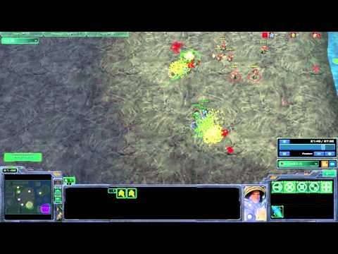 Darglein's Micro Trainer NA, Marine Split Level 21