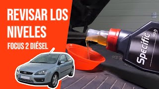 Youtube thumbnail of video "Cómo revisar los niveles Focus 2 1.8 TDCI 📏"