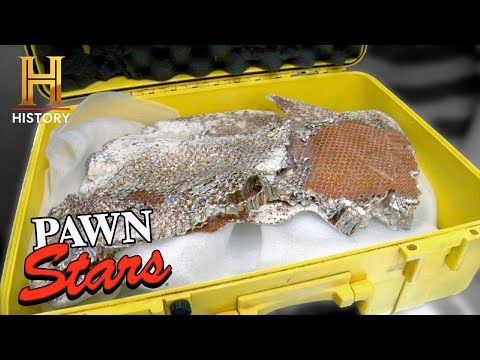 NASA Apollo Heat Shield is an OUT OF THIS WORLD Find (Season 5) | Pawn Stars
