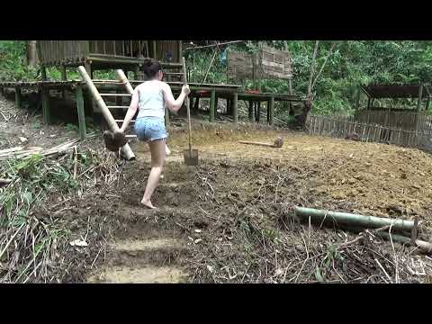 366 Days Building a Wooden House on Top of a Giant Tree House (ASMR)