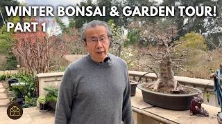 Garden Tour (Part 1): Sharing Joy - Featuring Beautiful Trees & A Few of My Favorite Bonsai