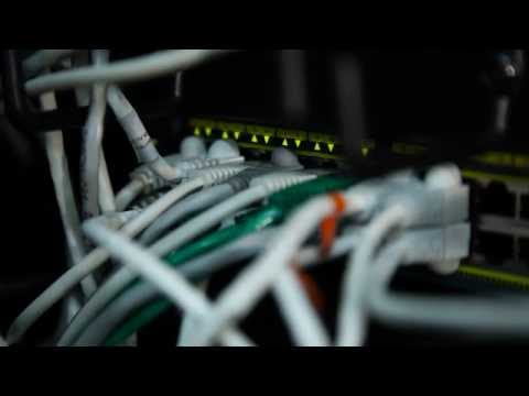 Valentina Bassani - Brother Italia