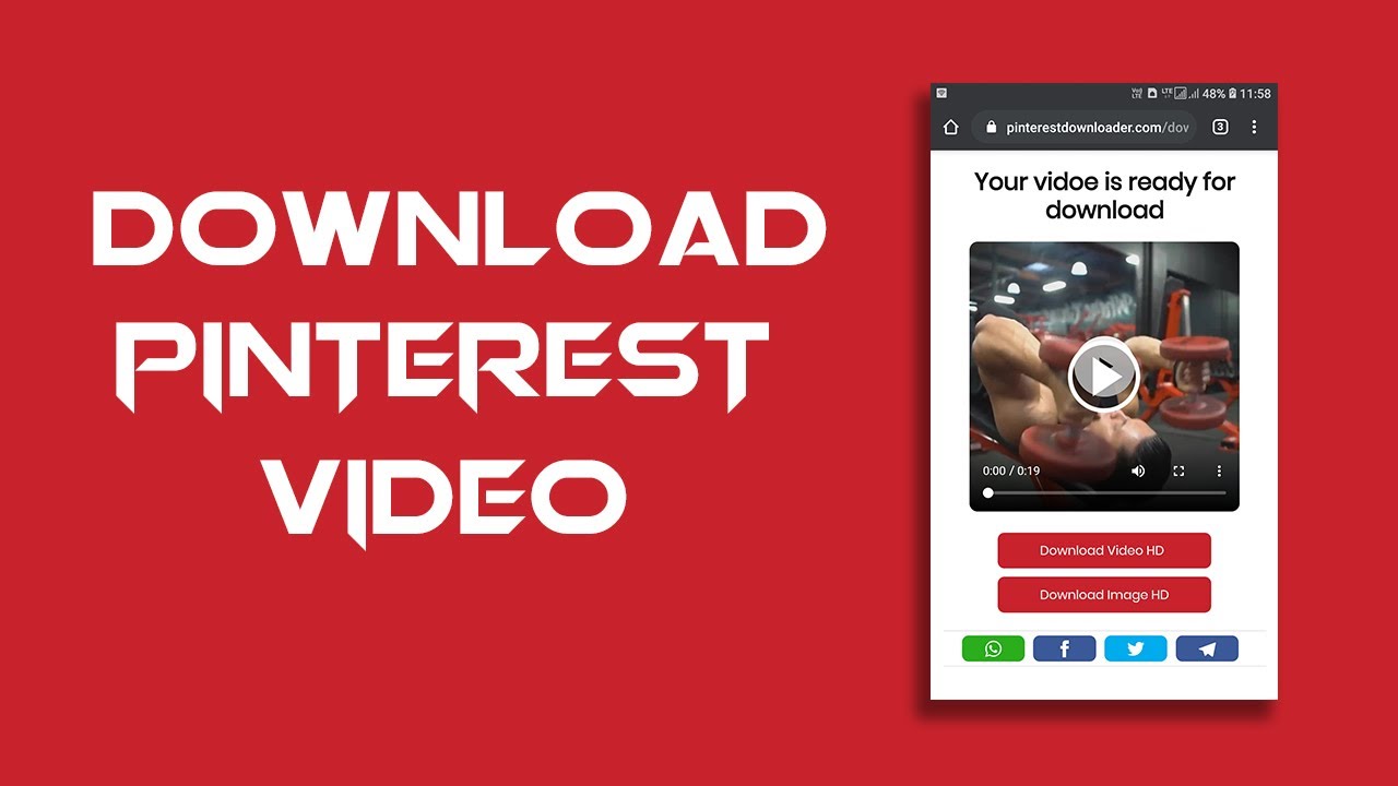 Trình Tải Xuống Video Pinterest - Tải Xuống Pinterest Video, Hình Ảnh & Gif  Trực Tuyến