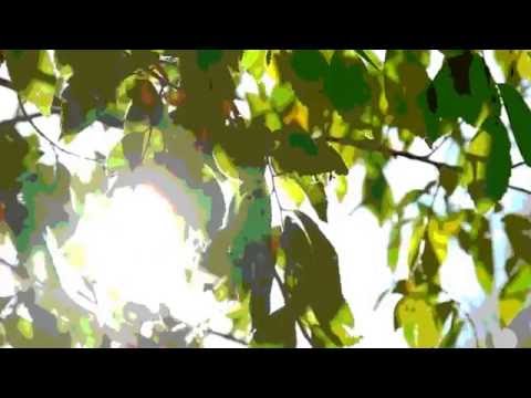 Dee Yan-Key   -   Ambient  Sonata