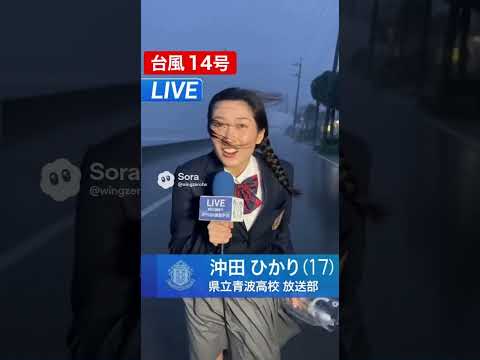 台風中継で頑張る女子高生制服の女子アナ