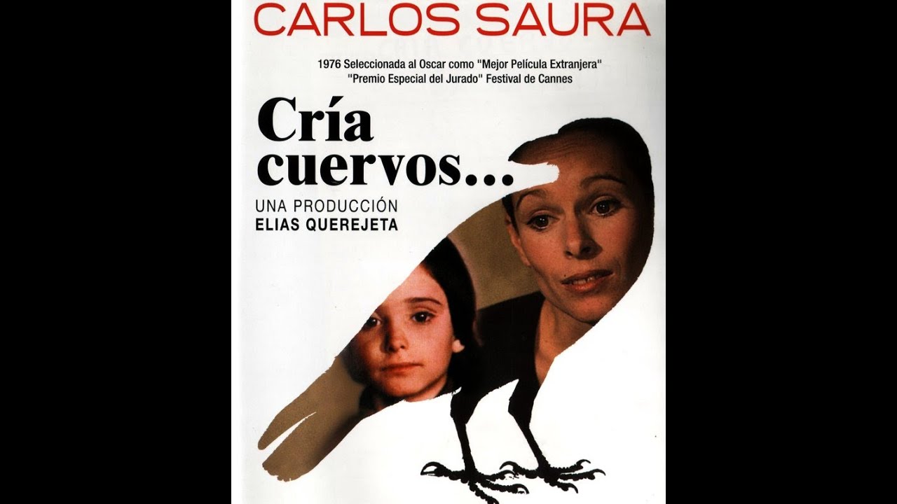 Datacrow  one of the most popular cataloguing software tools