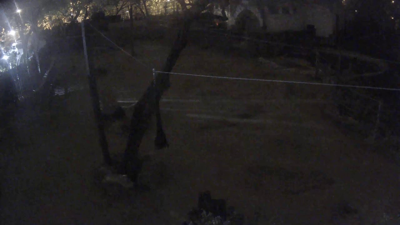 Budapest Zoo Elephants webcam — Budapest, Hungary