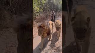 I went on my first solo trip at 49. Here’s what I’ve learned.