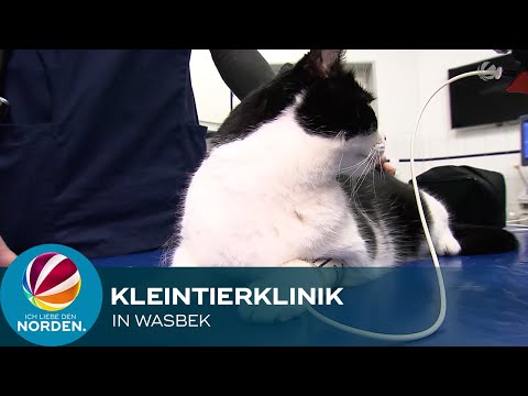 Hinter den Kulissen der Kleintierklinik Wasbek