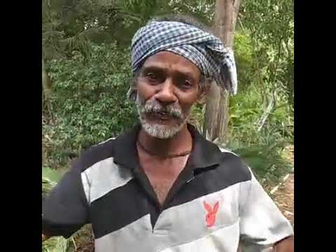 download lagu mp3 mp4 Saniliya, download lagu Saniliya gratis, unduh video klip Saniliya