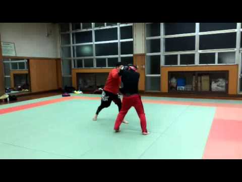 チーム・タイガー格闘技同好会 2015.12.27 スパーリング