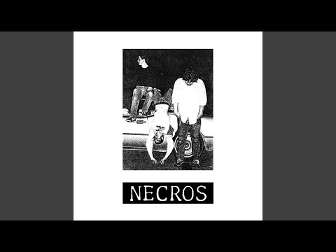 Public High School - Necros