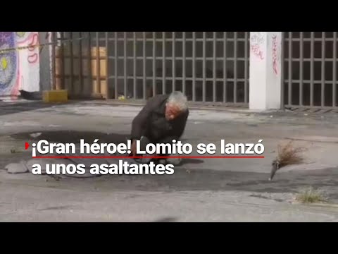 LOMITO SALVÓ A SU DUEÑO | No queremos llorar, pero este perrito es todo un héroe