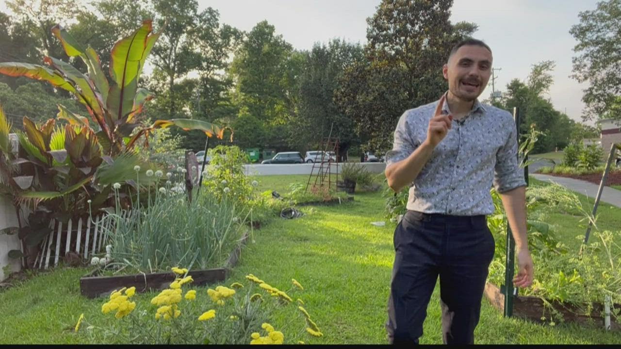What are the most common plants in South Carolina?
