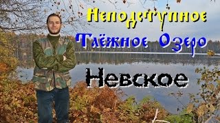 Рыбалка на озере невское севастьяново