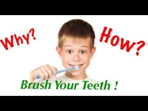 Why  \u0026 how to brush your teeth ?