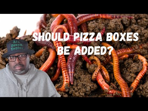 Can I Add PIZZA BOXES To A Worm Bin