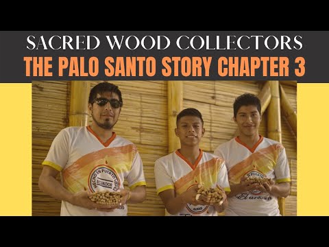The Sacred Wood Collectors -  The Palo Santo Story - Chapter 3