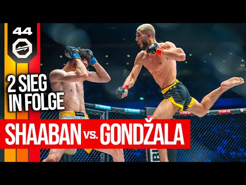 Hassan Shaaban vs Denis Gondzala full fight