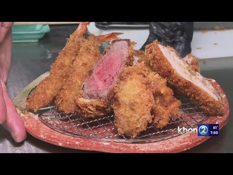 Tonkatsu @ Honolulu brings Japan to your table