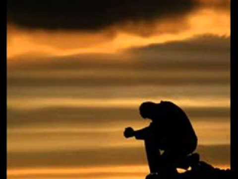 MIQITO FALUCAY(icakailana)