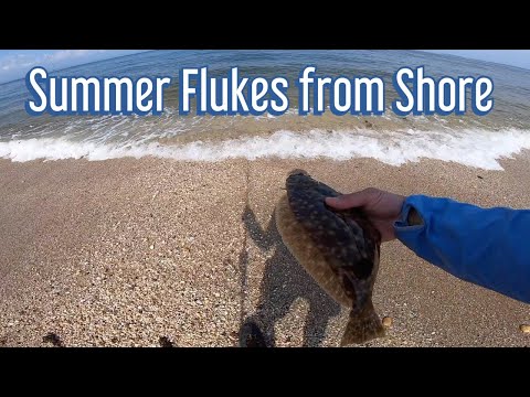 Summer Flukes (Flounder) from Shore Long Island NY