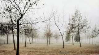 Daylight Dies - The Morning Light (lyrics)