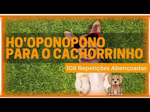 Ho'oponopono para o Cachorrinho Abençoado 432 Hz