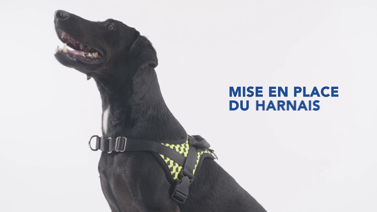 Harnais Animalin® - Harnais antitraction et de promenade - Mode d'emploi
