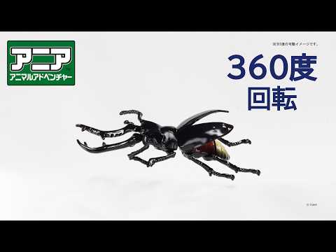 【公式】アニア360度回転動画　「AL-38　ギラファノコギリクワガタ」