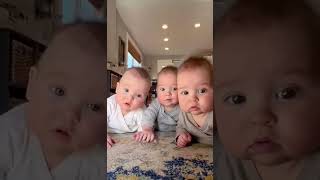 Download lagu BAYI KEMBAR LUCU BIKIN GEMAS| siapa yang mau bayi kembar? subscribe dan like mp3