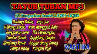 Download lagu Tayub Tuban Mp3 | Wantika #tayubtuban #sedekahbumi #tayubtubanmp3 #tayubnganjuk #tayubbojonegoro mp3