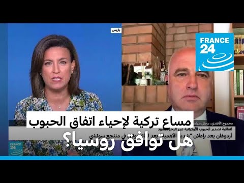 مساع تركية لإحياء اتفاق الحبوب الأوكرانية.. هل توافق روسيا؟