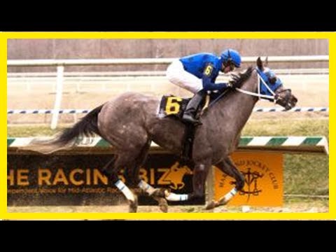 Smokinpaddylassie stays perfect in Beyond the Wire Stakes